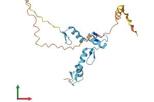 Protein Structure (PS) image for Zinc Finger Protein 41 (ZNF41) (AA 1-198) protein (His tag) (ABIN7545294)