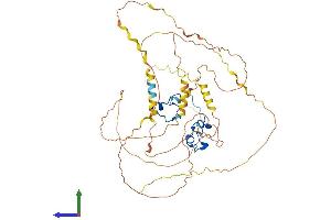 Protein Structure (PS) image for Zinc Finger Protein 36, C3H Type-Like 2 (ZFP36L2) (AA 1-494) protein (His tag) (ABIN7555808)