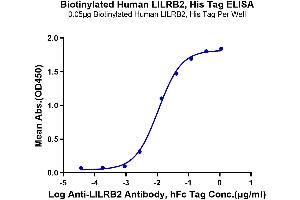 Immobilized Biotinylated Human LILRB2, His Tag at 0.