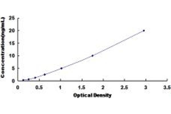 TPM2 ELISA 试剂盒