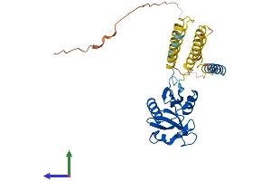 AlphaFold protein structure predicition of Mouse Recombinant Cd209b Protein, UniprotID Q8CJ91