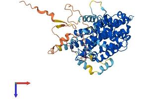 SESN3 Protein (AA 1-492) (His tag)