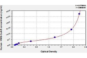Typical Standard Curve (HMGCR ELISA 试剂盒)
