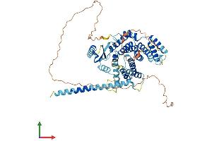 Protein Structure (PS) image for Spermatogenesis Associated 16 (SPATA16) (AA 1-569) protein (His tag) (ABIN7546433)