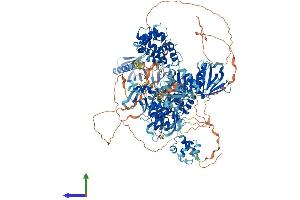 Protein Structure (PS) image for ArfGAP with RhoGAP Domain, Ankyrin Repeat and PH Domain 1 (ARAP1) (AA 1-1452) protein (His tag) (ABIN7563779)