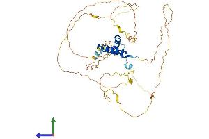 Protein Structure (PS) image for Transcription Factor 7 (T-Cell Specific, HMG-Box) (TCF7) (AA 1-419) protein (His tag) (ABIN7556850)