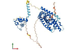 AlphaFold protein structure predicition of Human Recombinant NR1H3 Protein, UniprotID Q13133