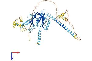 Protein Structure (PS) image for Peter Pan Homolog (PPAN) (AA 1-473) protein (His tag) (ABIN7544020)