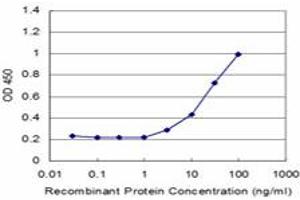 Detection limit for recombinant GST tagged ZNF70 is approximately 3ng/ml as a capture antibody. (ZNF70 抗体  (AA 1-446))