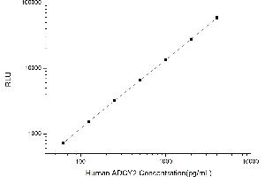 Typical standard curve (ADCY2 CLIA Kit)