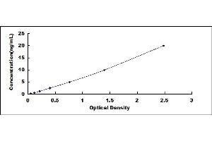 Typical standard curve (ANTXR2 ELISA 试剂盒)