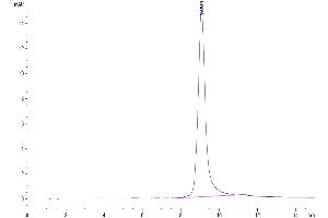 Size-exclusion chromatography-High Pressure Liquid Chromatography (SEC-HPLC) image for GDNF Family Receptor alpha 3 (GFRA3) (AA 29-379) protein (His tag) (ABIN7274743)
