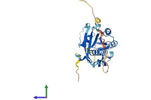 AlphaFold protein structure predicition of Mouse Recombinant Rab36 Protein, UniprotID Q8CAM5