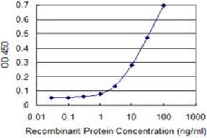 ELISA image for anti-Mitogen-Activated Protein Kinase 8 (MAPK8) (AA 1-384) antibody (ABIN519235)