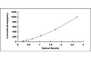 Typical standard curve (CCL19 ELISA 试剂盒)