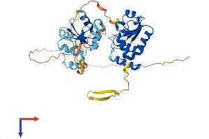 DUSP7 Protein (AA 1-419) (His tag)