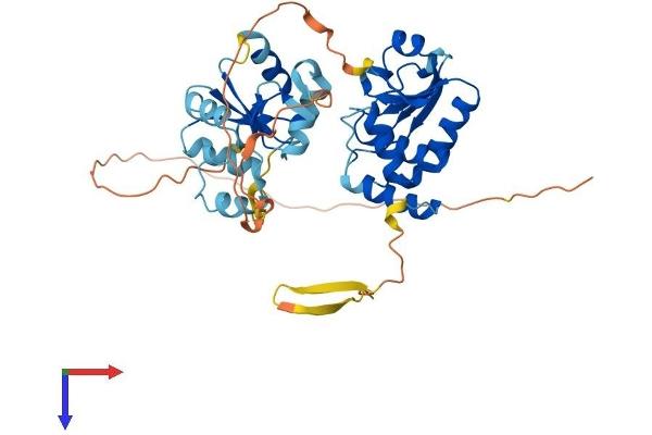 DUSP7 Protein (AA 1-419) (His tag)