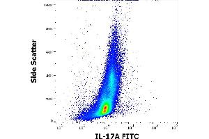 Flow cytometry intracellular staining pattern of PHA stimulated and Brefeldin A treated human peripheral whole blood stained using anti-human IL-17A (9F9) FITC antibody (4 μL reagent / 100 μL of peripheral whole blood). (Interleukin 17a 抗体  (FITC))
