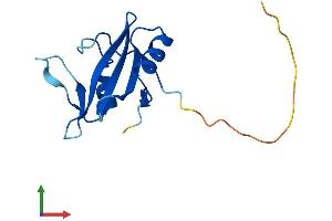 Protein Structure (PS) image for SH2 Domain Containing 1A (SH2D1A) (AA 1-128) protein (His tag) (ABIN7546049)