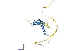 AlphaFold protein structure predicition of Human Recombinant CCDC28B Protein, UniprotID Q9BUN5