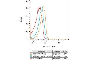 Flow cytometry: U937 cells were stained with Rabbit IgG isotype control (, 2. (Integrin beta 3 抗体)