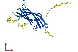 AlphaFold protein structure predicition of Human Recombinant B9D1 Protein, UniprotID Q9UPM9