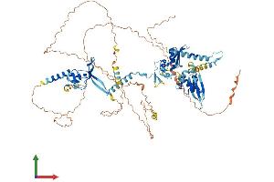 Protein Structure (PS) image for DiGeorge Syndrome Critical Region Gene 8 (DGCR8) (AA 1-773) protein (His tag) (ABIN7565037)