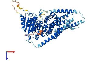 HAS1 Protein (AA 1-583) (His tag)