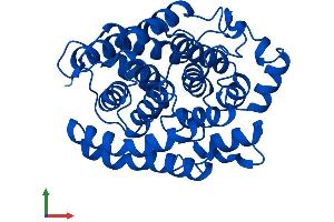 AlphaFold protein structure predicition of Human Recombinant ADPRH Protein, UniprotID P54922