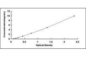 Midkine (Neurite Growth-Promoting Factor 2) (MDK) ELISA Kit