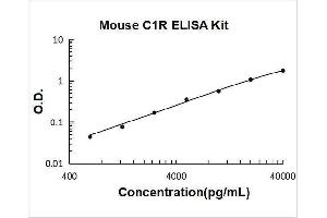 Complement Component 1, R Subcomponent (C1R) ELISA Kit