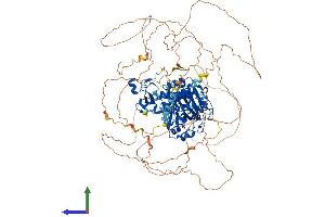 AlphaFold protein structure predicition of Mouse Recombinant Phf8 Protein, UniprotID Q80TJ7