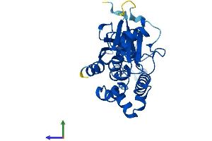 Protein Structure (PS) image for ATG5 Autophagy Related 5 (ATG5) (AA 1-275) protein (His tag) (ABIN7564876)