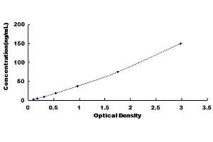 Typical Standard Curve (Angiopoietin 1 ELISA 试剂盒)