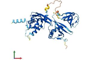 Protein Structure (PS) image for Neutrophil Cytosolic Factor 4, 40kDa (NCF4) (AA 1-339) protein (His tag) (ABIN7556795)