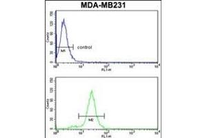 Flow Cytometry (FACS) image for anti-serpin Peptidase Inhibitor, Clade A (Alpha-1 Antiproteinase, Antitrypsin), Member 3 (SERPINA3) (AA 282-310), (C-Term) antibody (ABIN1882130)
