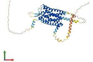 AlphaFold protein structure predicition of Human Recombinant HCRTR2 Protein, UniprotID O43614