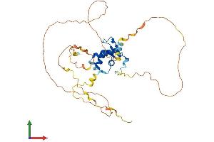 Protein Structure (PS) image for Forkhead Box I1 (FOXI1) (AA 1-372) protein (His tag) (ABIN7560224)