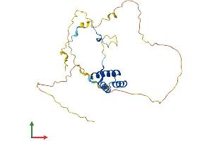 AlphaFold protein structure predicition of Mouse Recombinant Hoxd4 Protein, UniprotID P10628