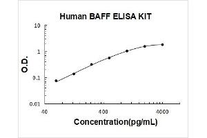 Human BAFF PicoKine ELISA Kit standard curve