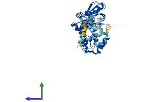 Protein Structure (PS) image for Cytohesin 4 (CYTH4) (AA 1-393) protein (His tag) (ABIN7558448)