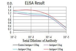 Black line: Control Antigen (100 ng),Purple line: Antigen (10 ng), Blue line: Antigen (50 ng), Red line:Antigen (100 ng) (TH 抗体  (AA 44-208))