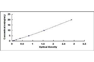 Typical standard curve (EZH1 ELISA 试剂盒)