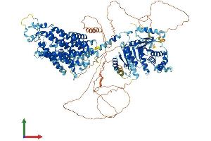 Protein Structure (PS) image for Solute Carrier Family 12 (Potassium-Chloride Transporter) Member 2 (SLC12A2) (AA 1-1212) protein (His tag) (ABIN7555291)
