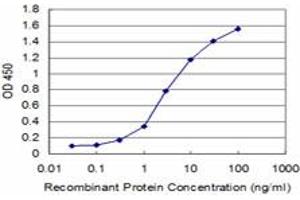 Detection limit for recombinant GST tagged DLX5 is approximately 0. (DLX5 抗体  (AA 1-110))