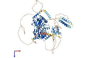 RECQL5 Protein (AA 1-982) (His tag)