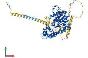 Protein Structure (PS) image for Carbohydrate (Chondroitin 6) Sulfotransferase 3 (CHST3) (AA 1-479) protein (His tag) (ABIN7553468)