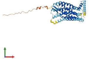 AlphaFold protein structure predicition of Human Recombinant CCR9 Protein, UniprotID P51686