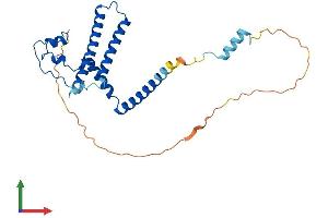 Protein Structure (PS) image for Mediator Complex Subunit 8 (MED8) (AA 1-268) protein (His tag) (ABIN7561099)