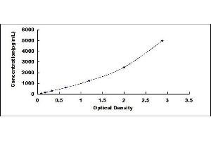 Myosin Regulatory Light Polypeptide 9 (MYL9) ELISA Kit
